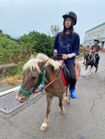 騎馬馬~